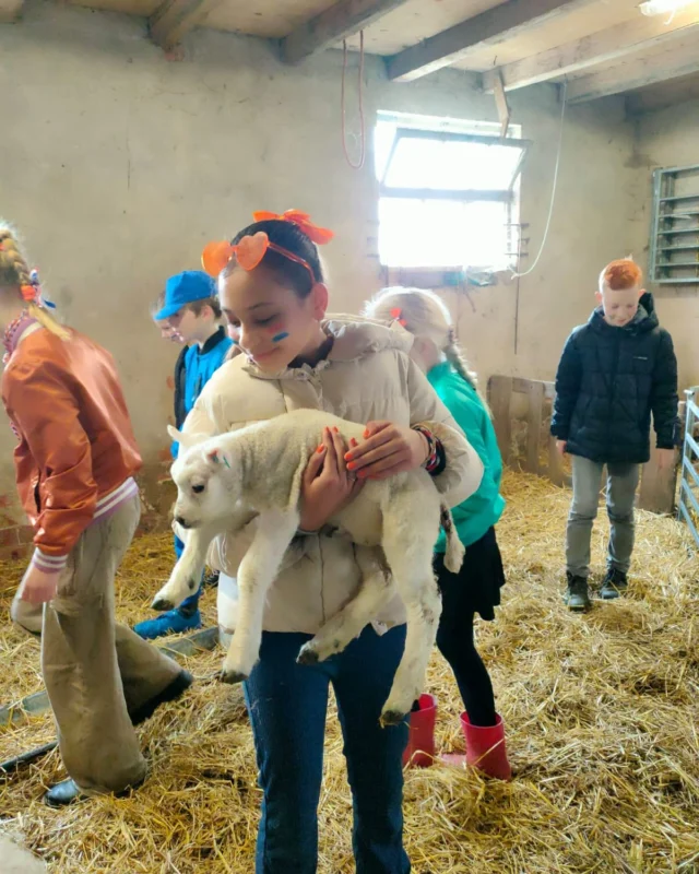 Wat een leuke koningsspelen hebben we gehad! Groep 1,2,3,4 en 5 hebben leuke spelletjes gedaan op het plein en ze deden verstoppertje in de school! De juffen gingen zoeken, wat een feest! Groep 6,7 en 8 hebben op de boerderij bij meester Gerrit ook een ontzettend gezellige dag gehad! 👑🦁